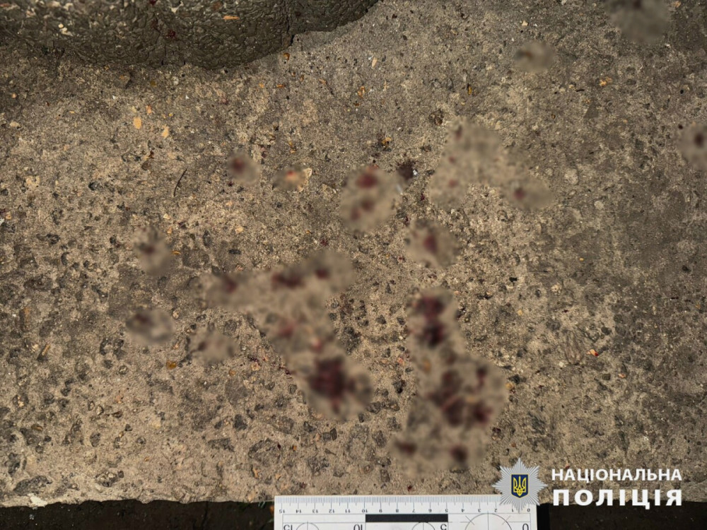 image for slide