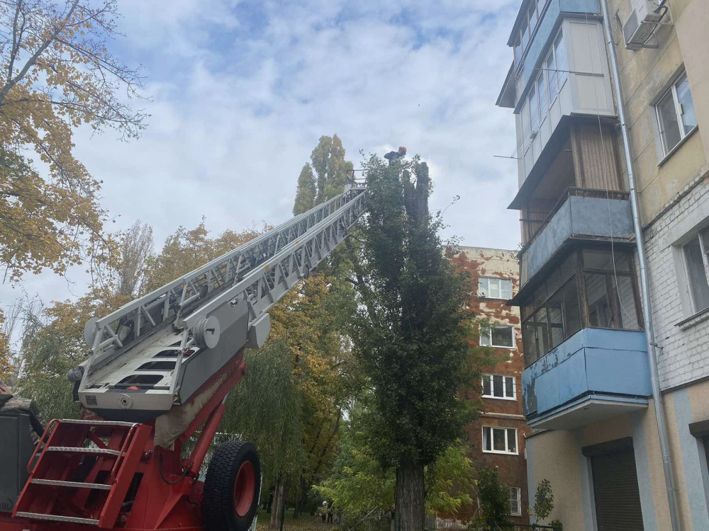 image for slide