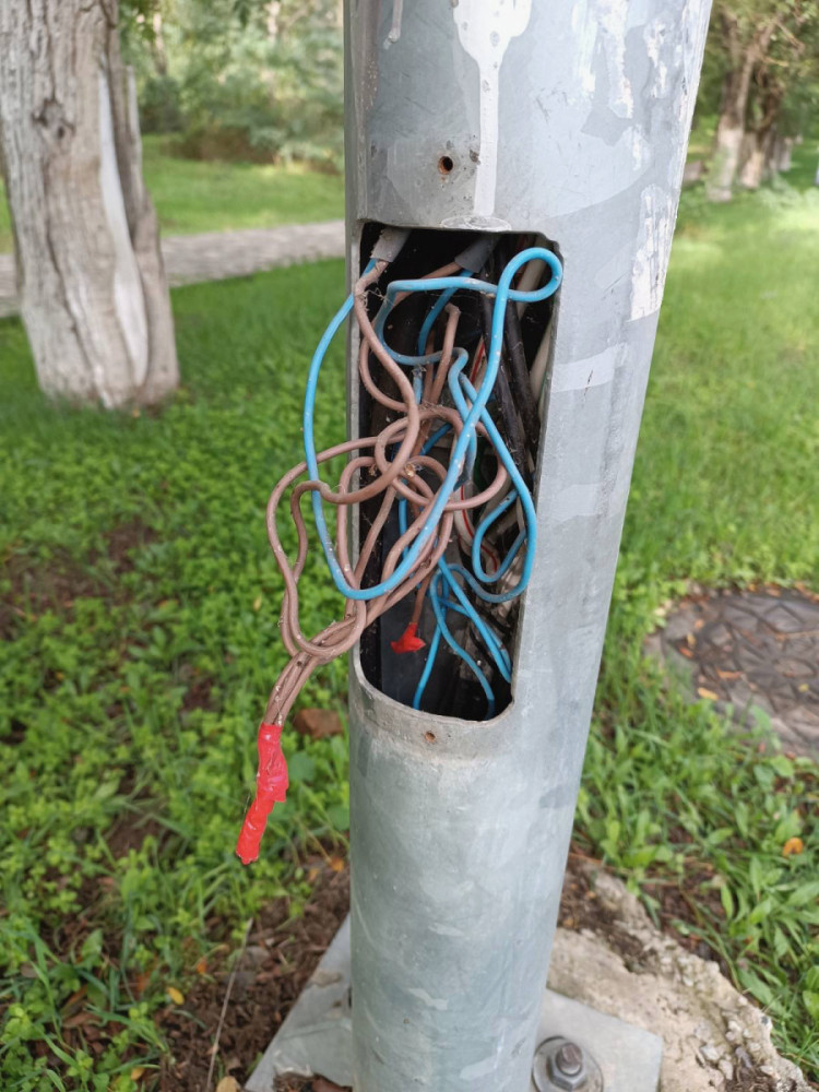 image for slide