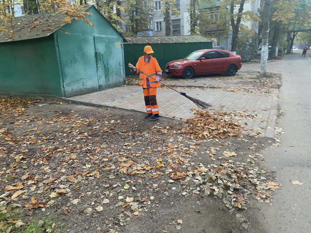 image for slide