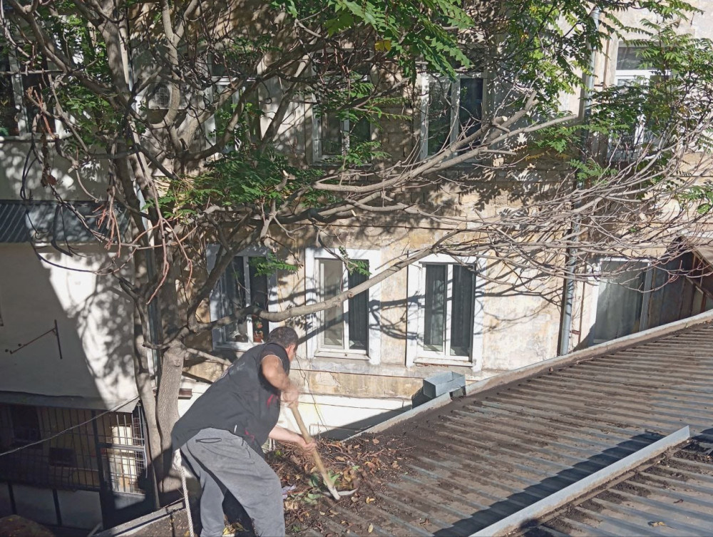 image for slide