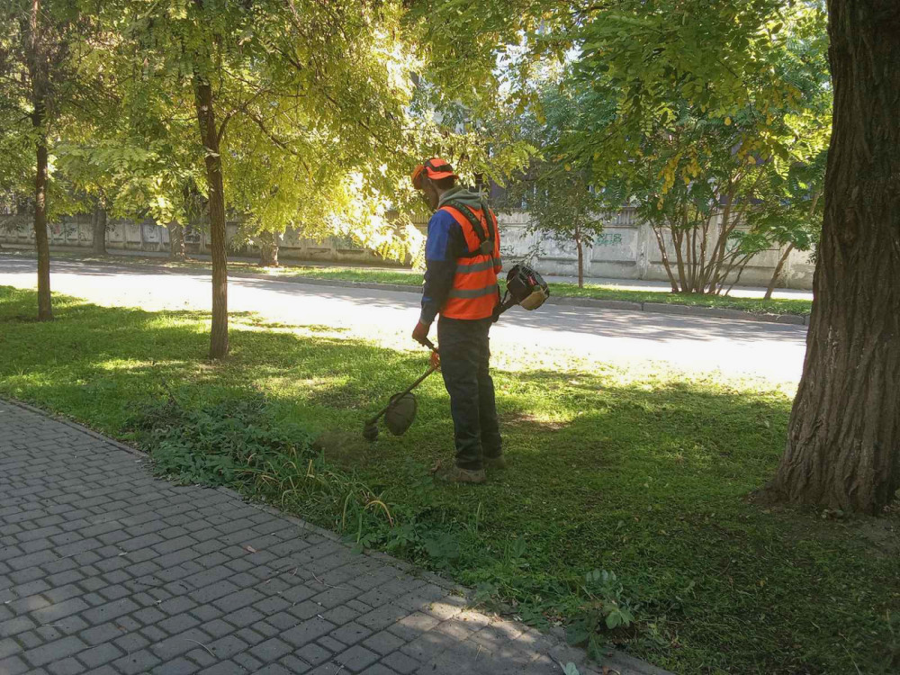 image for slide