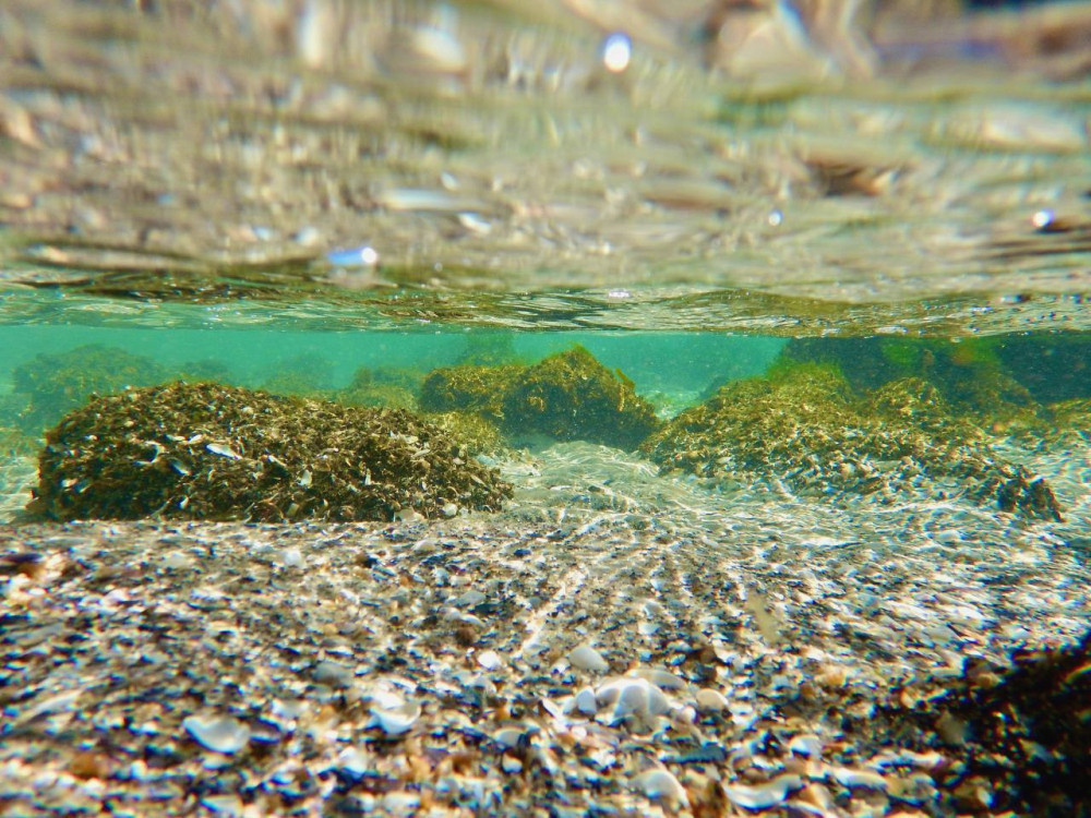 image for slide