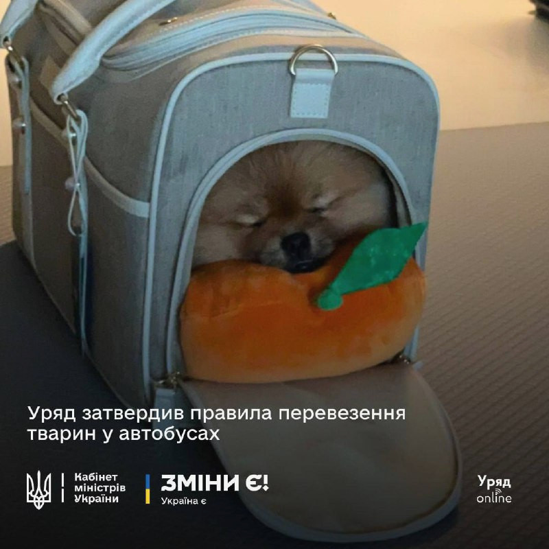 image for slide