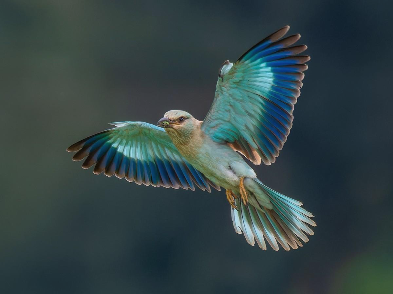image for slide