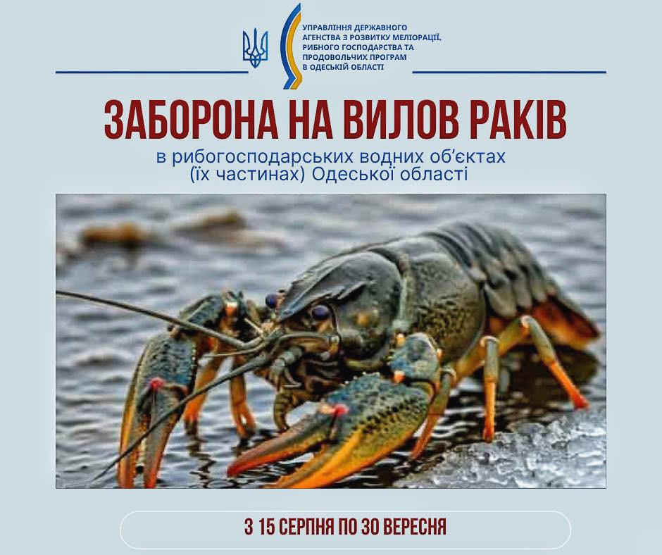 image for slide