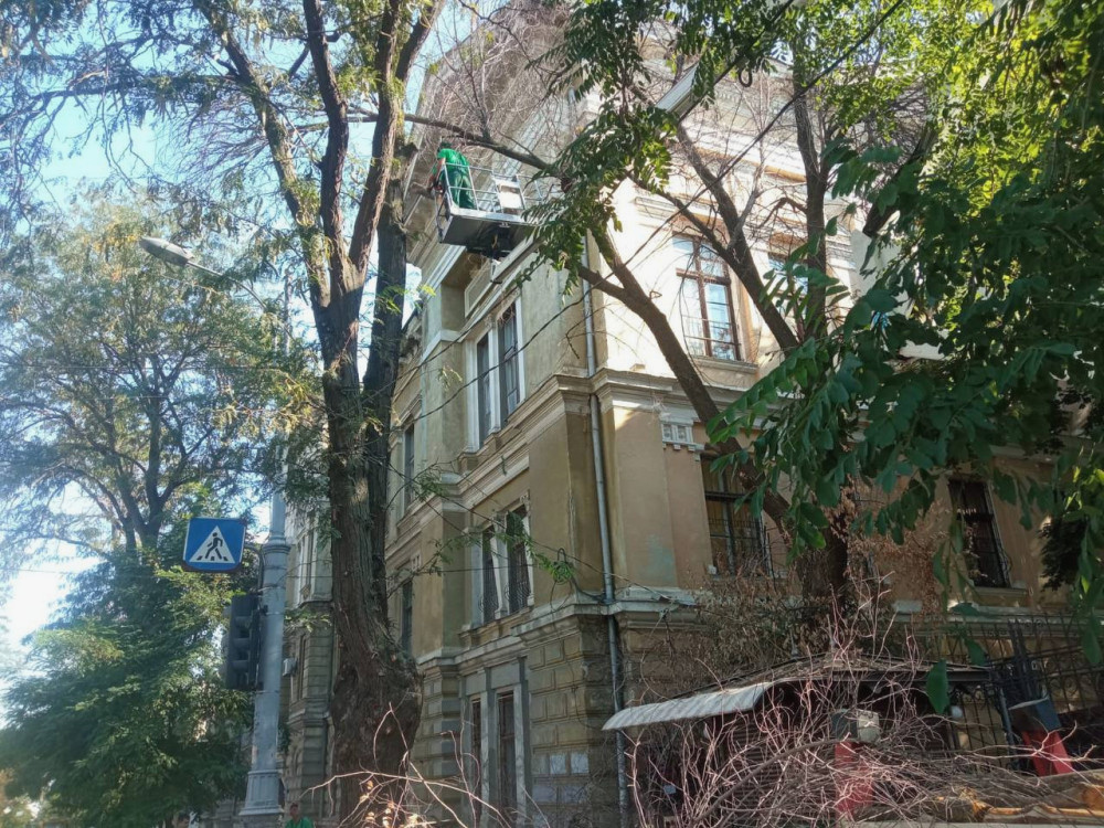 image for slide