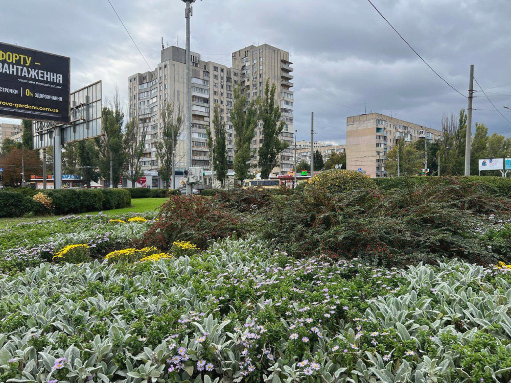 image for slide